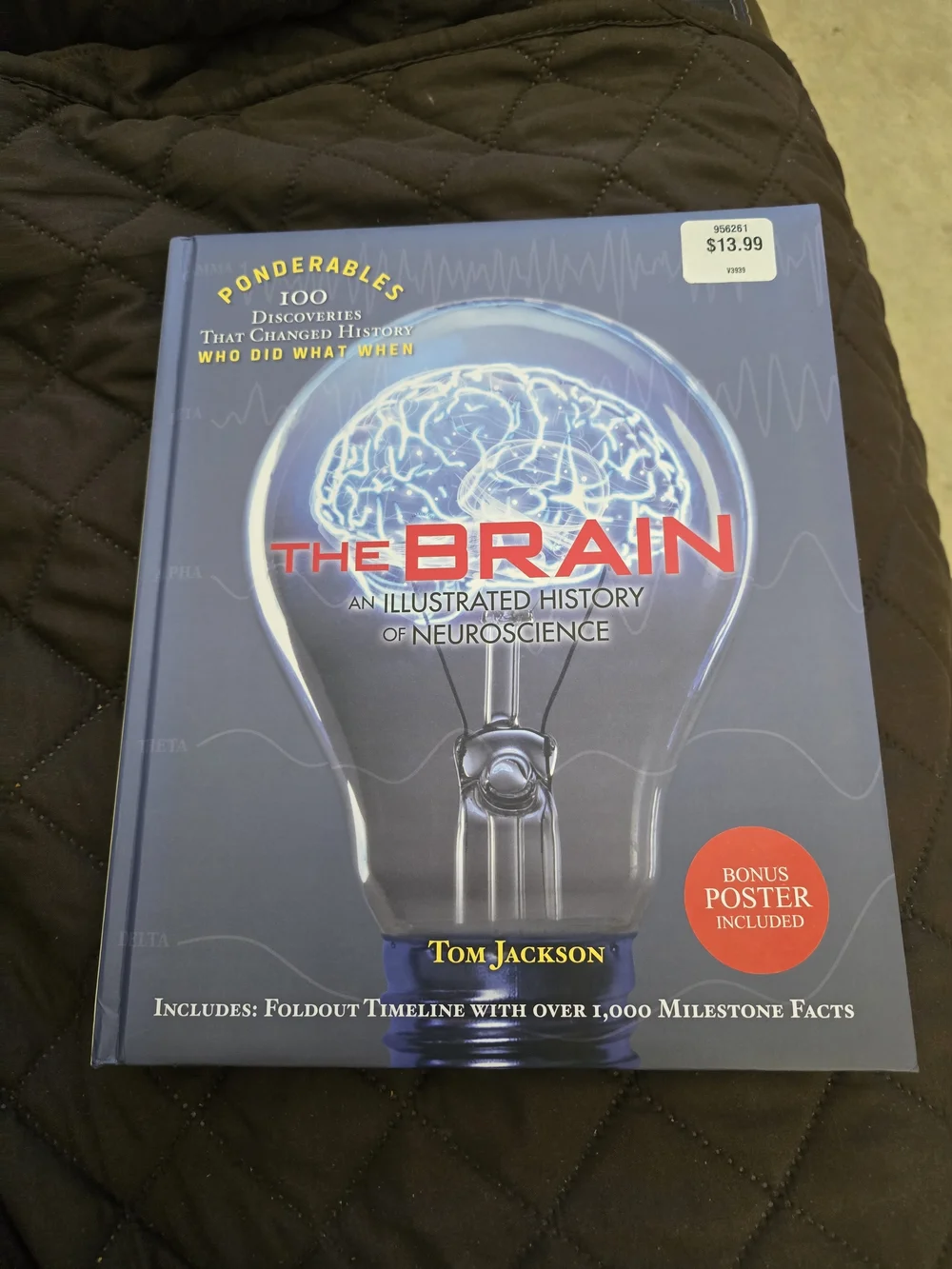 The Brain ~ 100 Discoveries That Changed History - White Hardcover Book